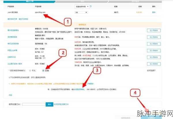 yp193.coc域名查询：深入解析yp193.coc域名的注册信息与应用场景