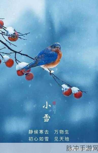 小雪好湿 好紧 太爽了：小雪的诱惑：湿滑紧致，让人无法自拔的快感体验