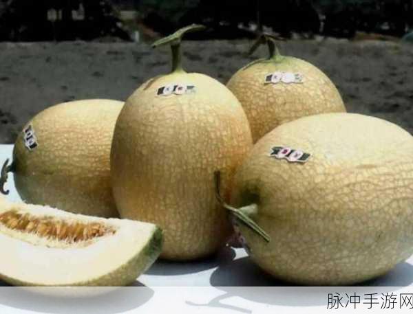 今日吃瓜 - 911爆料网-红领巾瓜报 八卦有理 爆料无罪：今日吃瓜：深度揭秘911事件背后的隐秘真相与八卦内幕