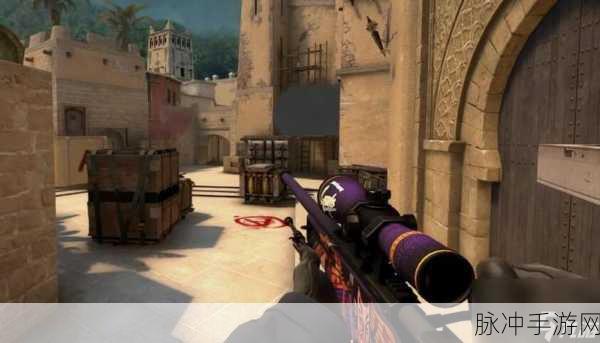暴躁老阿姨CSGO最新集：暴躁老阿姨CSGO最新集：战场上的幽默与策略交锋