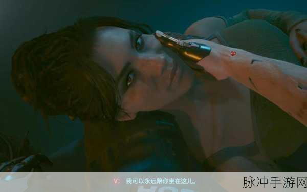 帕南攻略条件：全面解析拓展帕南攻略的必备条件与技巧