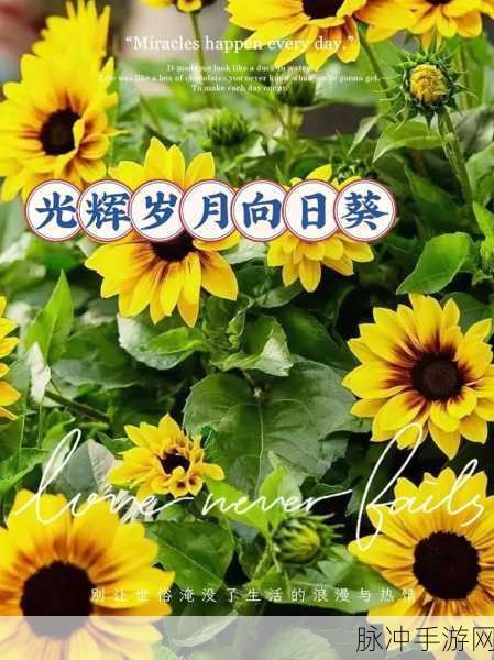 欧美mv日韩mv最火的一句歌词：在爱的旋律中，我们共同追逐梦想的光辉与希望