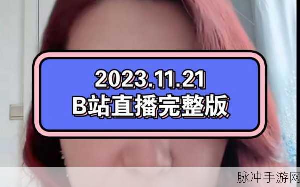 b站大全永不收费2023入口：2023年最新免费访问B站大全入口分享与使用指南