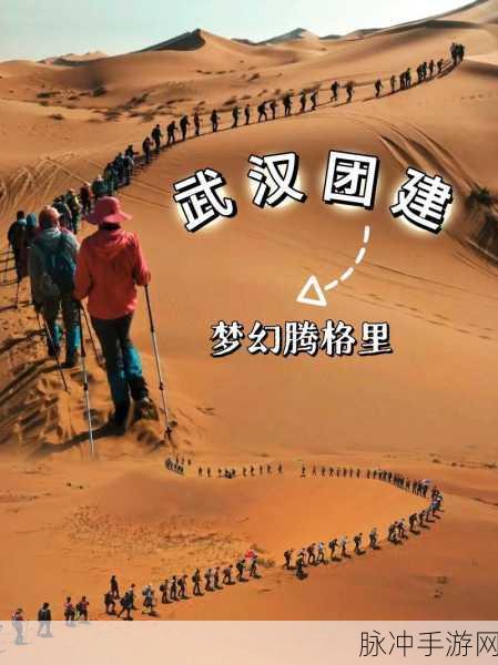 蒙古B大：探寻蒙古B大独特魅力与教育创新之路