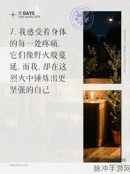 又疼又叫的朴克：疼痛与呐喊交织的朴克：心灵深处的挣扎与反思