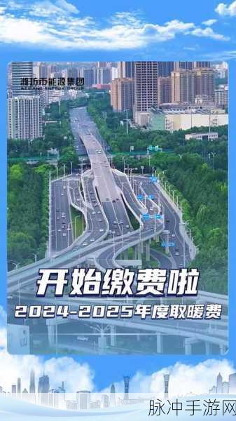 免费三色电费2024在线观看：2024年免费三色电费政策详解与在线观看指南