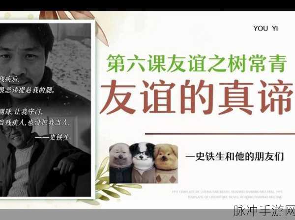 拔萝卜打扑克不盖被子。：在趣味游戏中体验生活乐趣与友谊的真谛