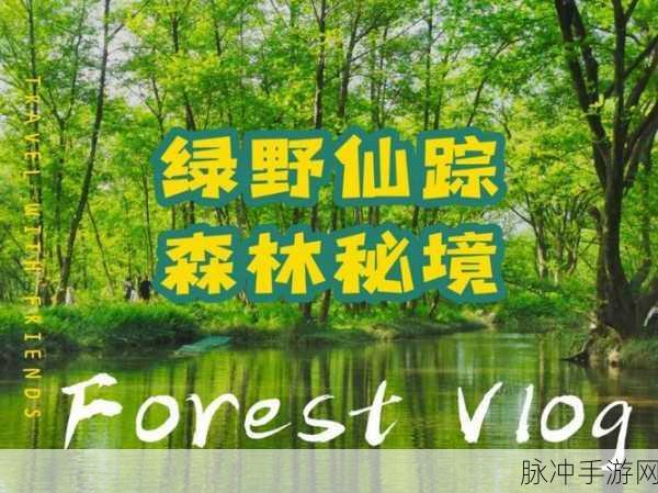 仙踪林company limited 小马：拓展仙踪林公司有限公司：打造绿色生态之旅，探索自然的奥秘与美丽