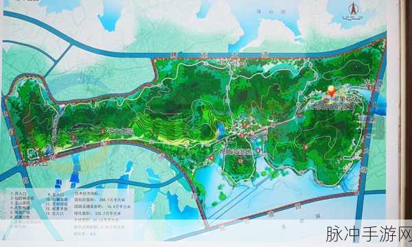 仙踪林company limited 小马：拓展仙踪林公司有限公司：打造绿色生态之旅，探索自然的奥秘与美丽