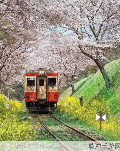 铁路日本!轨道之旅：探索日本美景，开启轨道之旅的奇幻冒险！