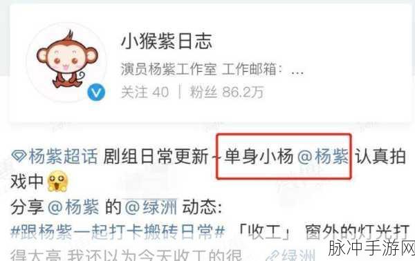 黑料吃瓜每日大赛：“每日黑料大赛：揭秘娱乐圈背后的不为人知故事”