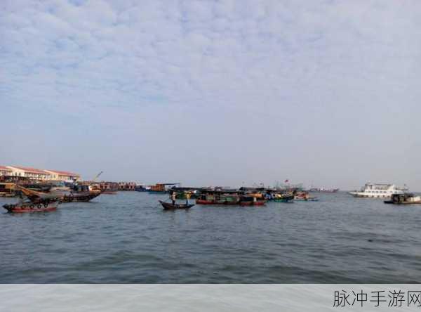 海角社区披风：探索海角社区发展新机遇与挑战的全景视角