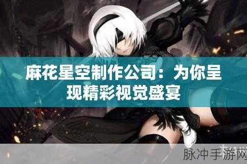 麻花影视文化传媒制作公司：拓展麻花影视文化传媒制作公司，助力创意无限的视觉盛宴！