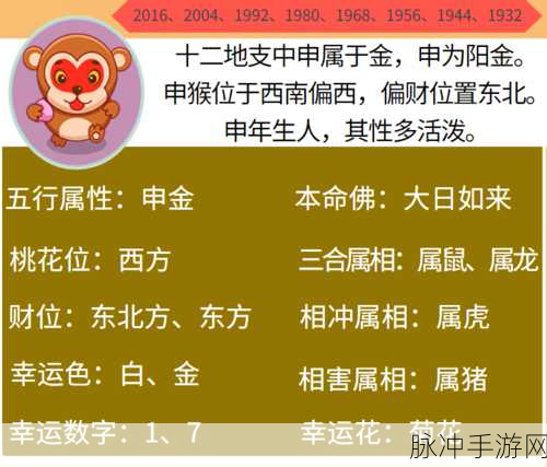 夜不归宿的生肖是什么生肖：探索夜不归宿的生肖特征与性格解析