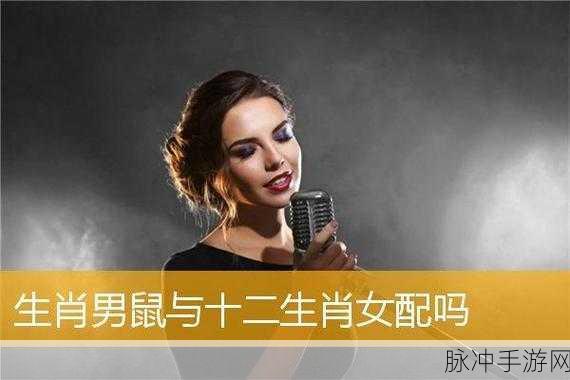 夜不归宿的生肖是什么生肖：探索夜不归宿的生肖特征与性格解析