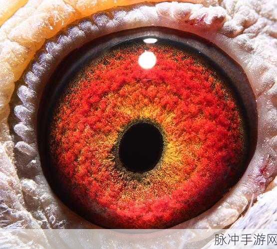 天南铜都小棚赛鸽中心秋棚：全力拓展天南铜都小棚赛鸽中心秋季新项目与发展路径
