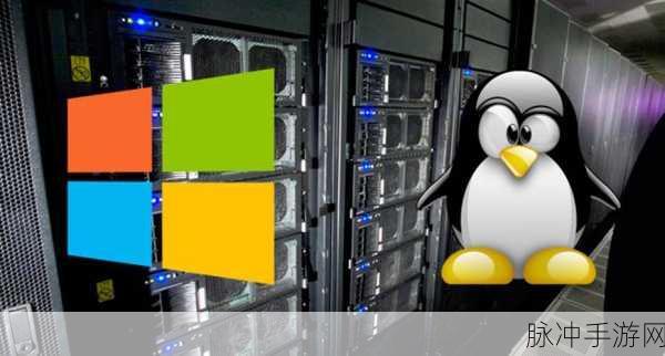 高清vpswindows另类：高性能高清VPS Windows服务器，开启你的互联网新体验