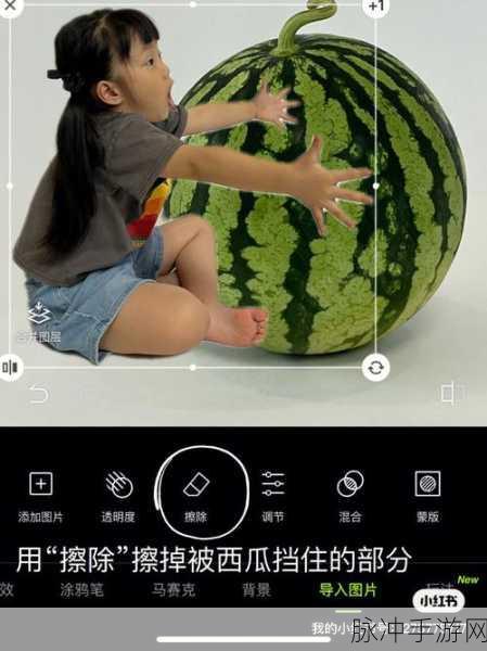 911红领巾吃瓜爆料女博士：红领巾吃瓜大揭秘：女博士背后的不为人知故事