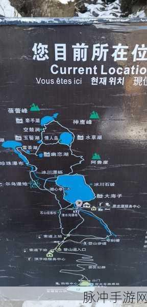 麻豆一区二区三区：探索麻豆一区二区三区的无限魅力与精彩内容分享