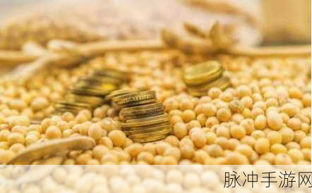 欧美性XXXX极品HD大豆行情：欧美性XXXX极品HD大豆市场行情分析与趋势展望