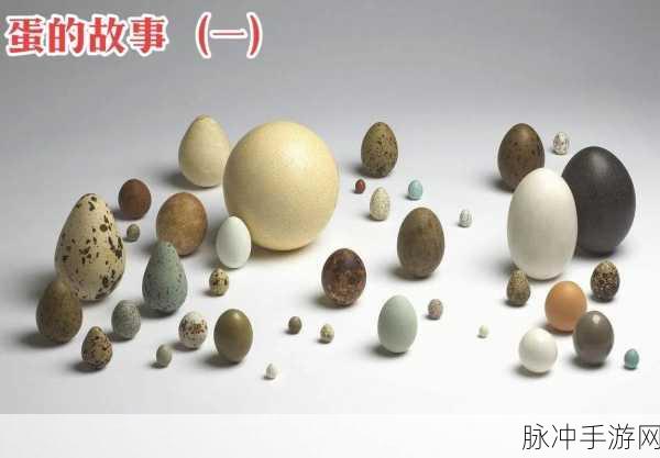 一卡二卡三卡黄色在线观看：探索一卡二卡三卡的奇妙世界，感受不同风格带来的乐趣！