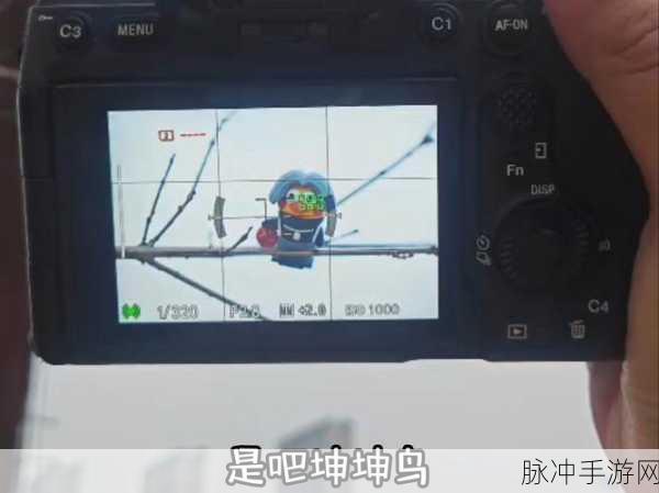 男人把坤坤放在女人坤坤里游戏：“男人与女人的坤坤互动：探索情感深度的游戏”