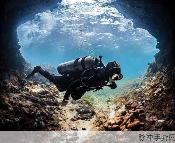 www.51：探索51网站的无限可能性，发现新世界的精彩与乐趣。