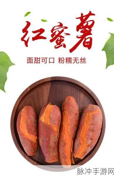 国精产品一区二区三区糖心：国精产品：探索糖心魅力与健康之道，畅享甜蜜生活