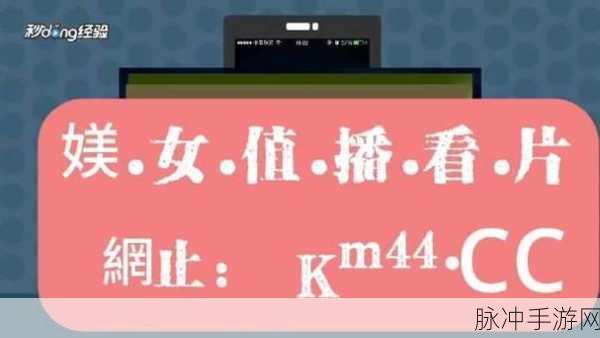 精产久久久国品一二三产区区別：拓展精产体系，解析国品一二三产区的区别与特点