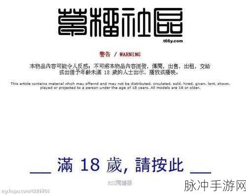 t66y 永不迷路：探索T66Y：追寻永不迷路的旅程与指南