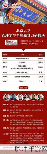 yw永不失联国际mba：yw永不失联国际MBA：全球视野下的领导力与创新培养
