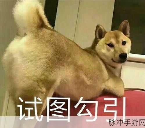 在线大白屁股：全面解析在线大白屁股的流行趋势与影响