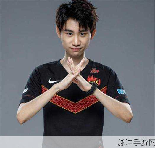 doinb出了什么事：Doinb因个人原因宣布退役，引发粉丝热议与讨论