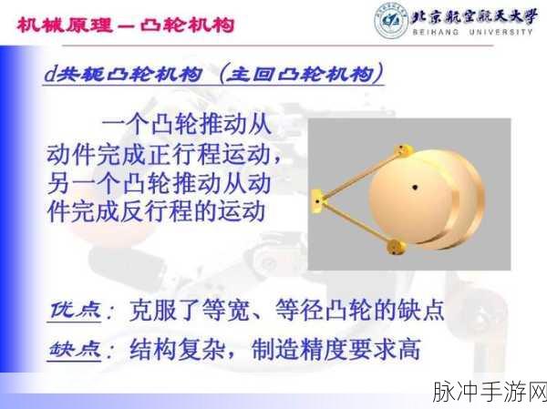 凸轮 自由 性别 管 西元：拓展凸轮的自由与性别观念的新探讨