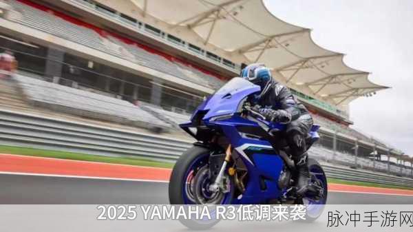 r3 5100：R3 5100：开启全新性能时代的强劲处理器