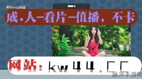 jmcomicron2.mic1.7.2：深入探讨jmcomicron2.mic1.7.2的功能与应用前景