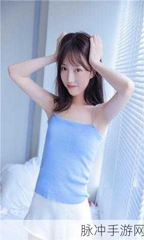 HD2linode日本ie69：HD2linode日本ie69的拓展与优化策略探讨