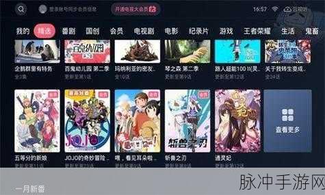 噼里啪啦哔哩哔哩在线电影播放：畅享精彩影视盛宴，尽在哔哩哔哩在线电影播放！