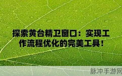十大禁用黄台APP：探索十大禁用黄台APP，揭示其背后的原因与影响