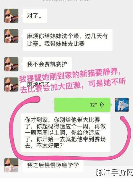 51爆料吃瓜：揭开51爆料背后的真相，吃瓜群众该如何应对？