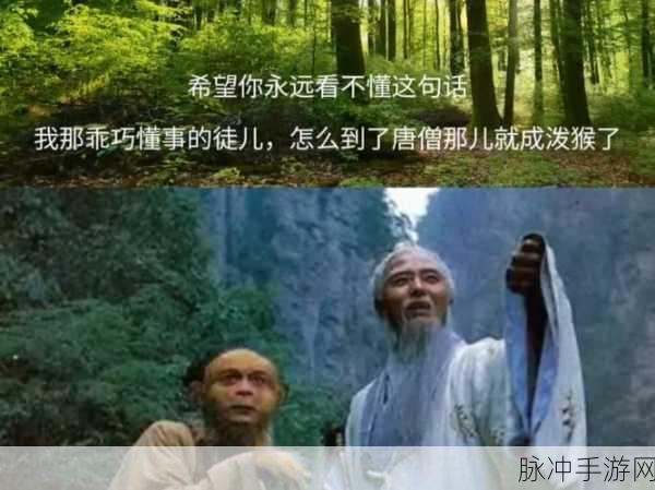师父不可以(限)弥弥：拓展师父不能被限制，弥弥的无限可能性探讨