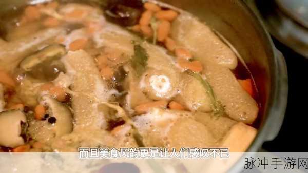 大香煮一道：香气四溢的大香煮：舌尖上的美味盛宴！