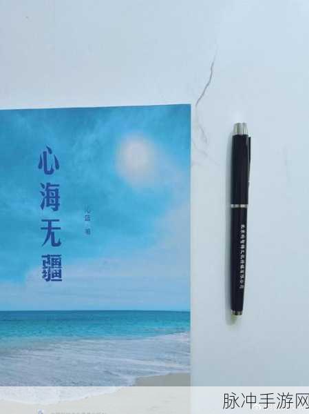 无小内：无小内，心灵深处的成长与探索之旅