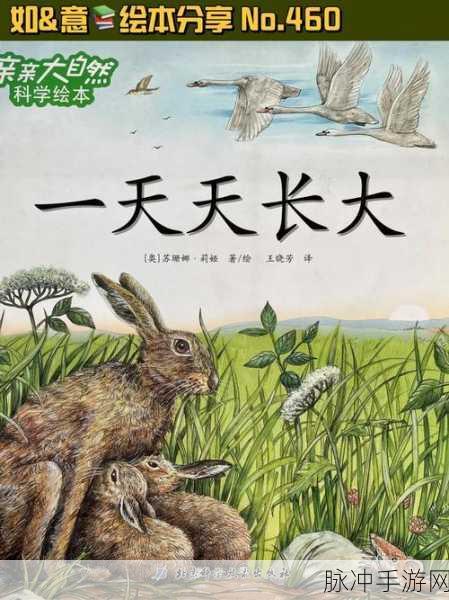 无小内：无小内，心灵深处的成长与探索之旅