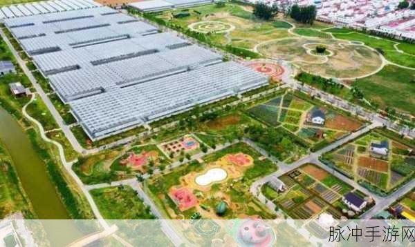 国产一二三产区：推动国产一二三产业区域协同发展与升级策略