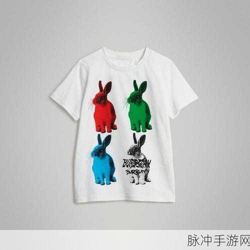 衬衫里的两只小兔子摇摇晃晃的：衬衫里的小兔子：摇摆的童趣与梦幻之旅
