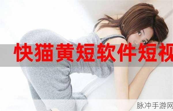 黄色软件app观看大全下载：探索全面的黄色软件APP观看指南与下载资源大全