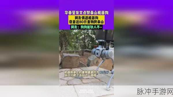 17c吃瓜爆料-免费吃瓜：免费吃瓜大揭秘：17c最新爆料全解析，真相令人震惊！