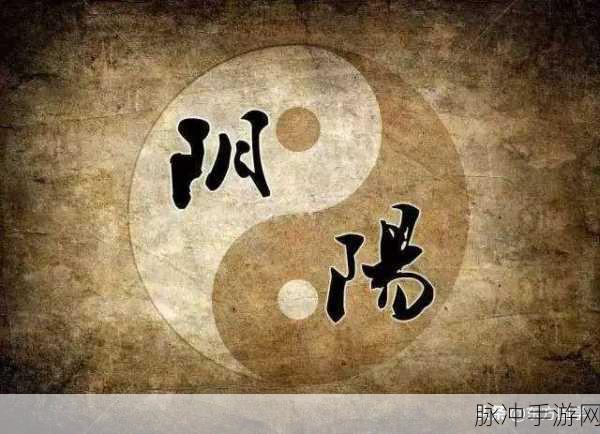 光环掌握宏：深入探索光环的奥秘，掌握宏观视野的新方法