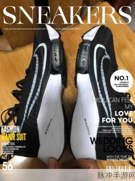 女人Zoom与女性Zoom安全：女性专属Zoom平台：提升安全性与隐私保护新体验